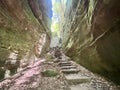 Stairs in Cantwell Cliffs Royalty Free Stock Photo