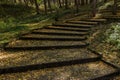 Stairs in city park covered with yellow leaves Royalty Free Stock Photo