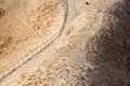 Stairs in the desert to Masada Royalty Free Stock Photo