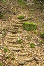 Stairs in the forest Royalty Free Stock Photo