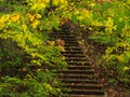 Stairs in the forest in the autumn time Royalty Free Stock Photo