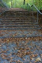 Stairs in forest with brown and yellow autumn leaf Royalty Free Stock Photo
