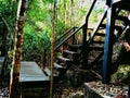 Stairs in the forest park Royalty Free Stock Photo