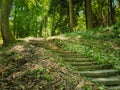 Stairs in forest. Path through woods.