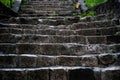 Stairs in the forest.