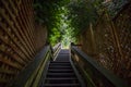 Stairs in forest. Wooden pathway.  Stairway to heaven Royalty Free Stock Photo