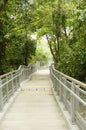 Stairs going down to the park Royalty Free Stock Photo