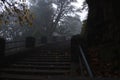 Stairs going up into the fall mist morning Royalty Free Stock Photo