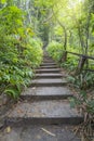 Stairs going up hillside in forest Royalty Free Stock Photo