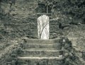 Stairs going up to a door in the stone wall of a medieval fortress in Sighisoara, Romania