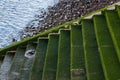 Stairs green from algae leading to river Thames in London