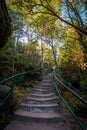 Stairs in the green forest to Szczeliniec Wielki in National Park Stolowe Mountains Royalty Free Stock Photo