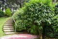 The stairs in the green garden Royalty Free Stock Photo