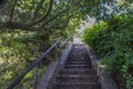 Stairs green nature woole San Francisco