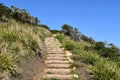 Stairs among green vegetation under a clear blue sky, Royal National Park Royalty Free Stock Photo