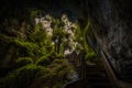 Stairs with handrails, cave exit in forest