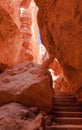 Stairs between the hoodooes in Bryce Canyon