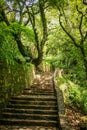 Stairs in the jungle at tepoztlan mexico Royalty Free Stock Photo