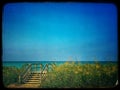 Stairs leading over sand dune to Lake Michigan beach in Indiana