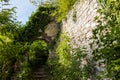 Stairs leading to a archway in a old ancient ruin with a wall on the right covered with plants Royalty Free Stock Photo