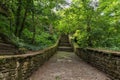 Stairs leading to green forest