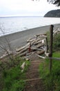 Tranquil Pacific Northwest shoreline trail