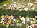 Stairs leading to a temple filled with colorful Balinese offerings