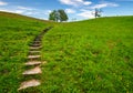 Stairs leading to top of the hill in green grass