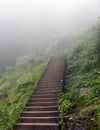 Stairs leading up