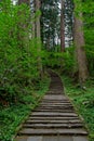 2446 stairs leading up Mount Haguro