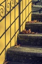 Stairs With Leaves Royalty Free Stock Photo