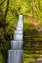 Stairs with levada water canal stream, Ribeiro Frio, Madeira island, Portugal