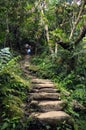 The Stairs at the Lost City, Colombia Royalty Free Stock Photo