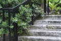 Stairs made of coral