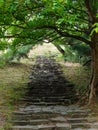 Stairs made of natural stone in the park Royalty Free Stock Photo