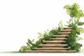 stairs made of planks in natural landskape isolated vector style illustration