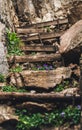 Stairs made from rock to make easy to climb.