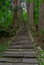 2446 stairs ,Mount Haguro in Japan