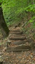 Wood bridge in the forest. Stairs in the mountains Royalty Free Stock Photo