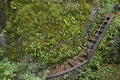 Stairs on Oneonta Gorge Hiking Trail Royalty Free Stock Photo