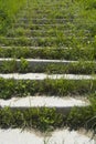 Stairs overgrown with grass