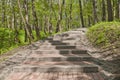 Stairs in the park Royalty Free Stock Photo