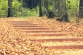 Stairs in a park in autumn day. Royalty Free Stock Photo