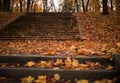 stairs park autumn day orange leaf bokeh background outdoor