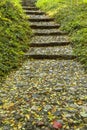 Stairs in park