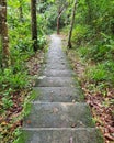 Stairs and pathway in forest Royalty Free Stock Photo