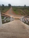 Stairs and road and greenery of nature