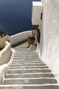 Stairs at Santorini island, Cyclades, Greece.