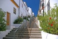 Stairs with steel railing, houses and flower plants