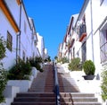 Stairs with steel railing, houses and flower plants